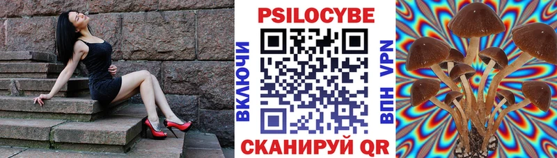 Псилоцибиновые грибы ЛСД  дарнет шоп  Стародуб 